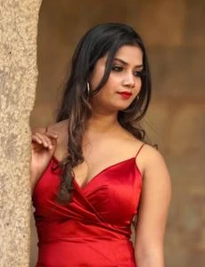 call girl service in Shenkottai